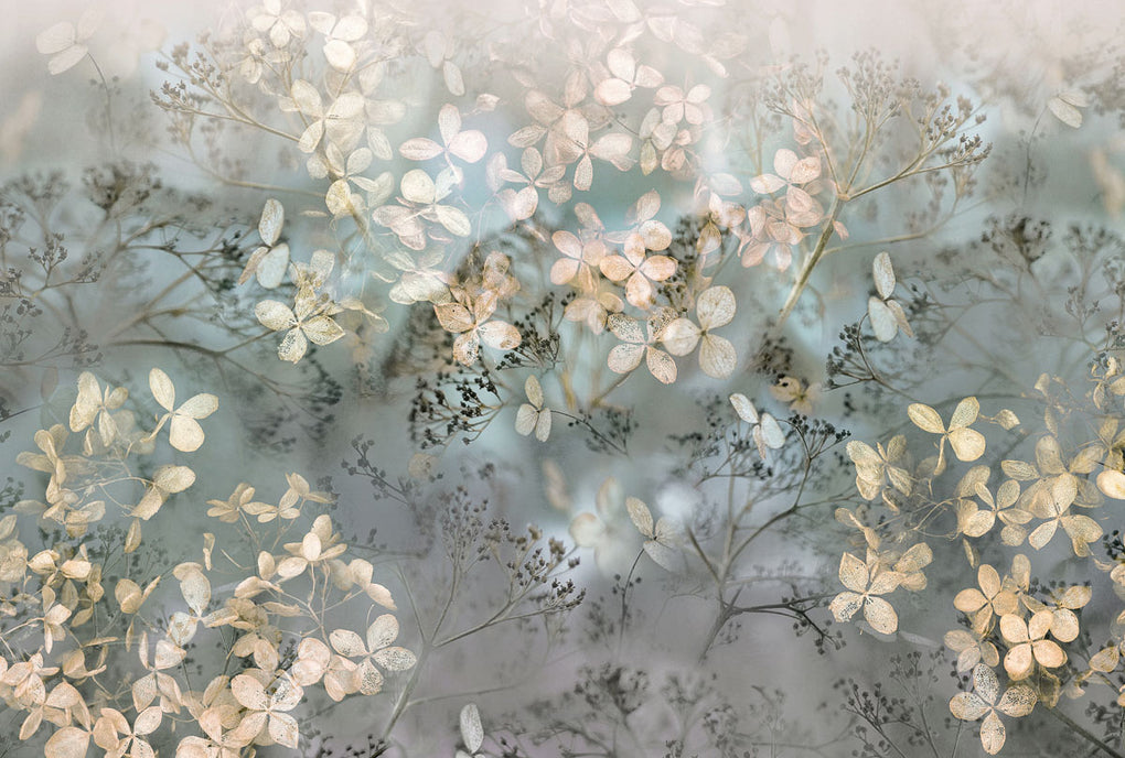Holdunderblüten (2236)