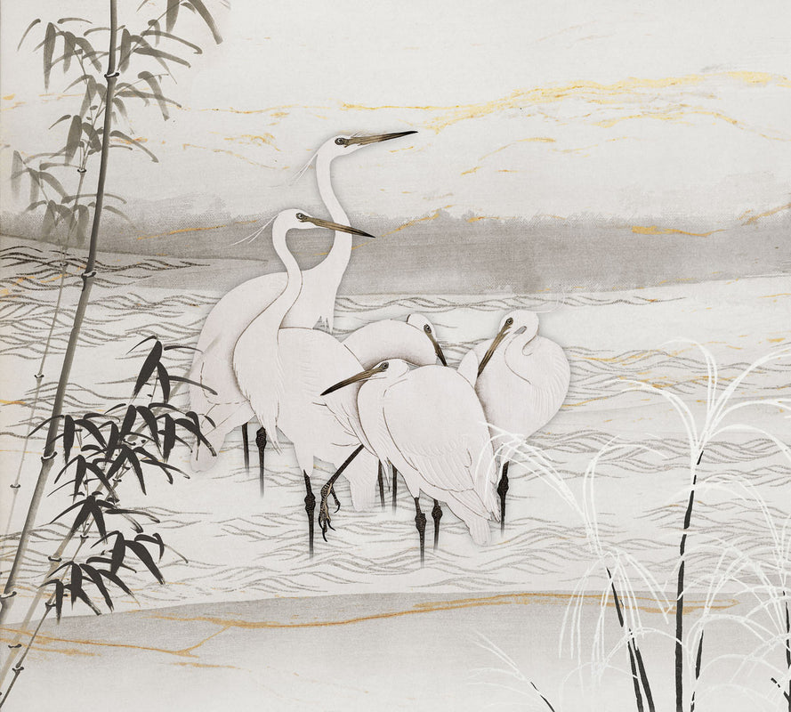Birds of Asia (2244)
