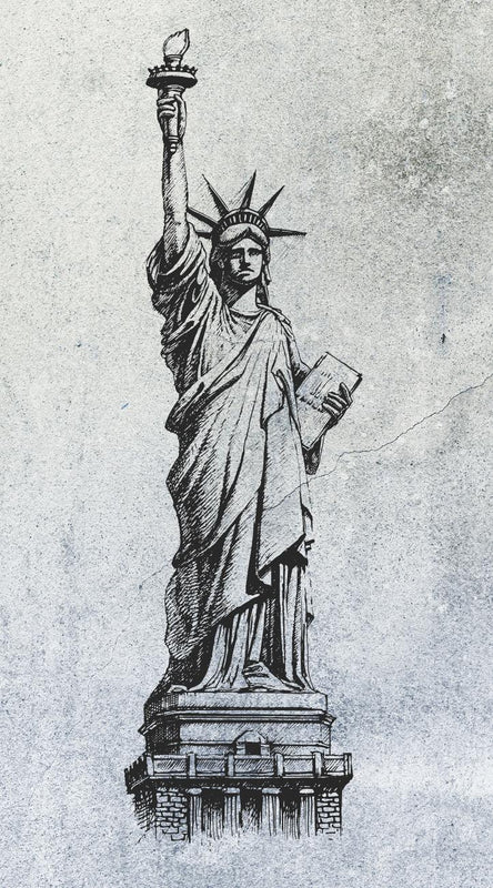 2517N-81
