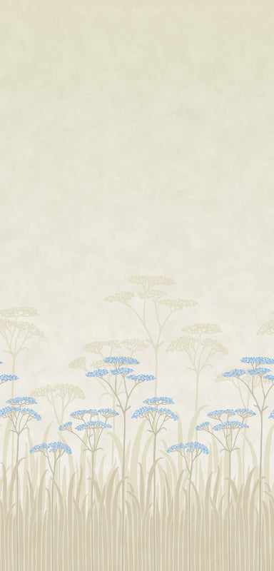 Achillea