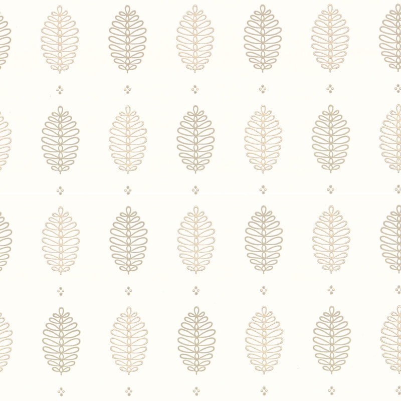 Cones