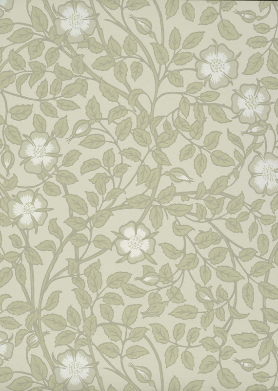 Briar Rose