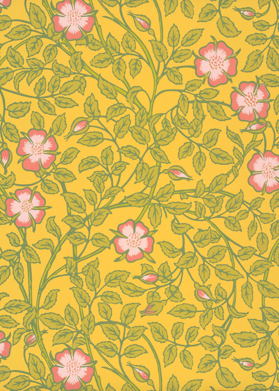 Briar Rose