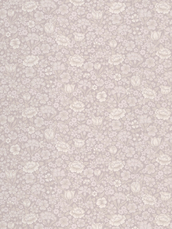 Spring Flowers